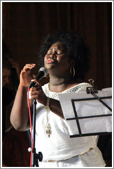 Singer Dayme Arocena Uribarri, performing at a private home in Miramar.