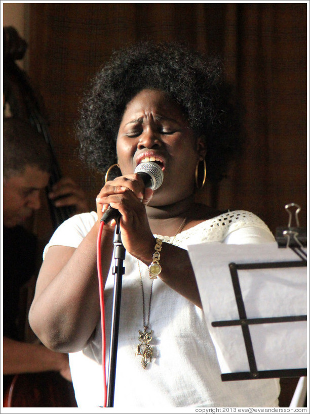 Singer Dayme Arocena Uribarri, performing at a private home in Miramar.