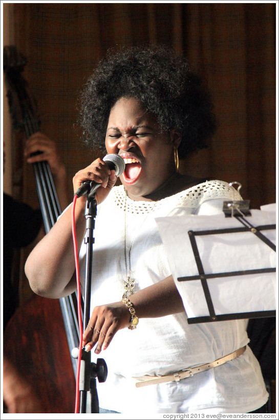 Singer Dayme Arocena Uribarri, performing at a private home in Miramar.