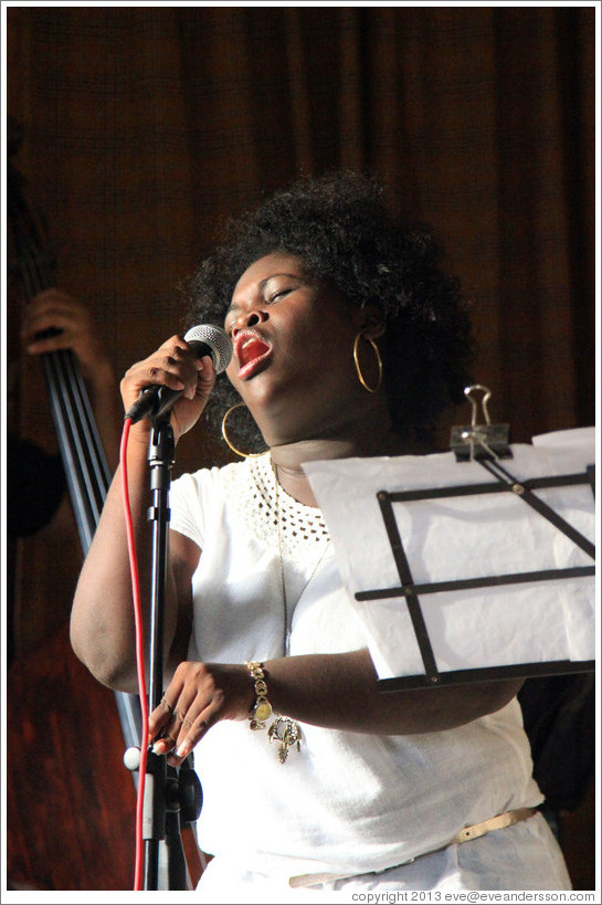 Singer Dayme Arocena Uribarri, performing at a private home in Miramar.