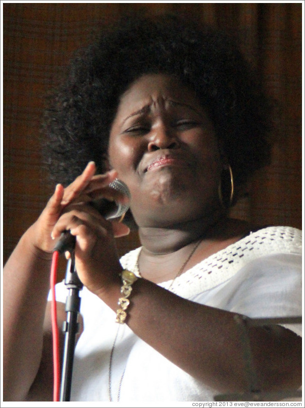 Singer Dayme Arocena Uribarri, performing at a private home in Miramar.