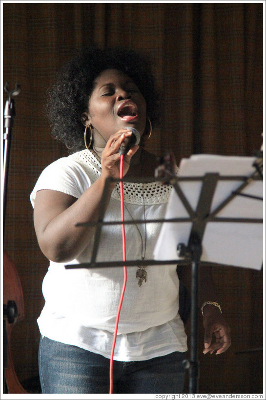 Singer Dayme Arocena Uribarri, performing at a private home in Miramar.