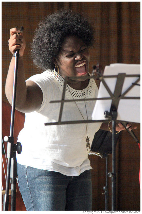 Singer Dayme Arocena Uribarri, performing at a private home in Miramar.