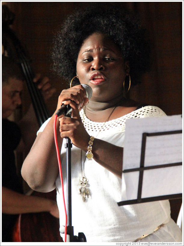 Singer Dayme Arocena Uribarri, performing at a private home in Miramar.