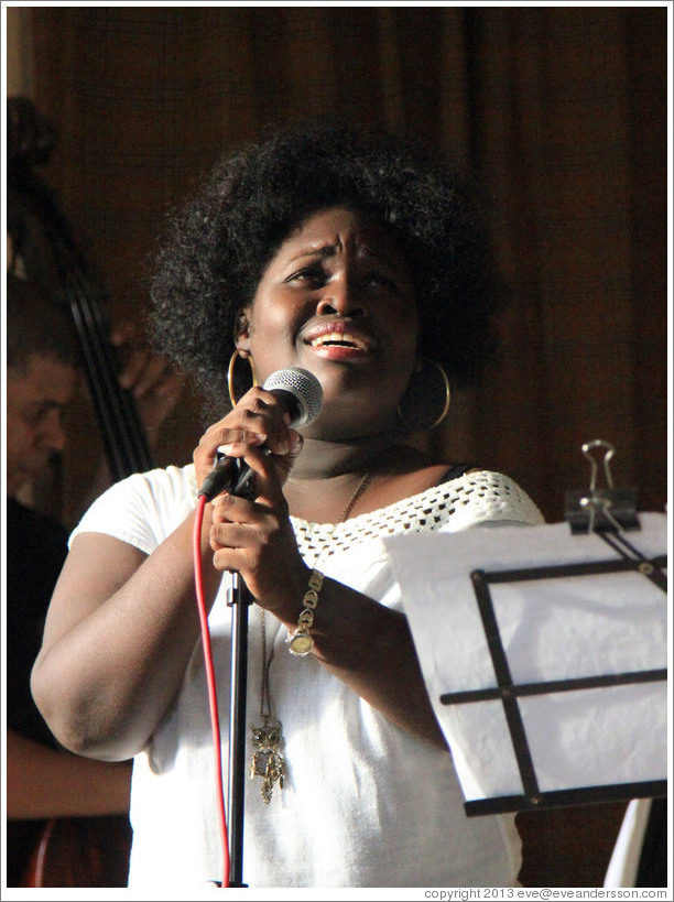 Singer Dayme Arocena Uribarri, performing at a private home in Miramar.