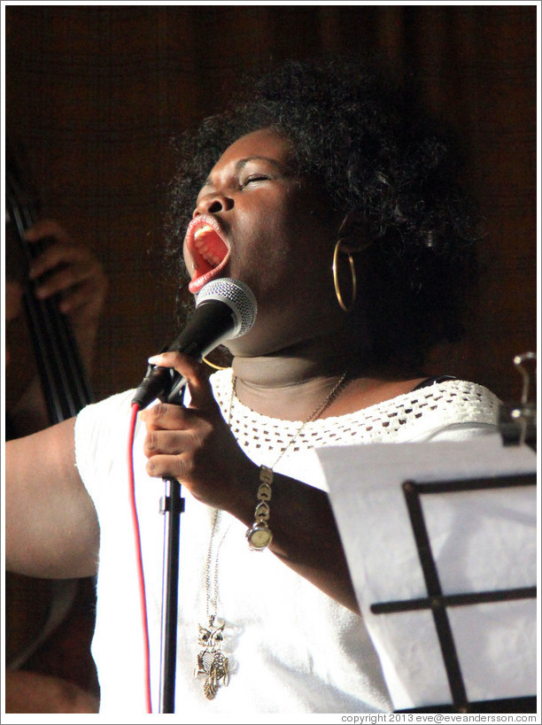 Singer Dayme Arocena Uribarri, performing at a private home in Miramar.