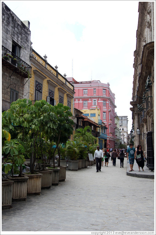 Calle Obispo, Old Havana.