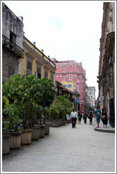 Calle Obispo, Old Havana.