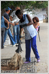 Woman sweeping using a broom made of plant fronds, Plaza de Armas, Old Havana.