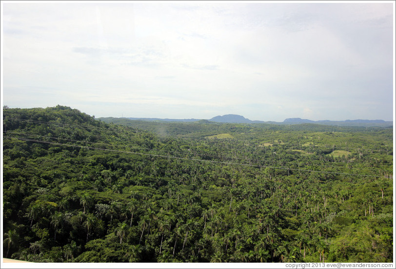 Valley with thick, green foliage, seen from Via Blanca.