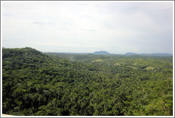 Valley with thick, green foliage, seen from Via Blanca.