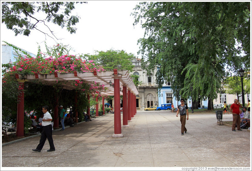 Trellis with flowers, Parque de la Libertad (Liberty Park).