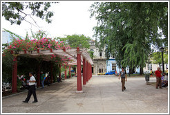 Trellis with flowers, Parque de la Libertad (Liberty Park).