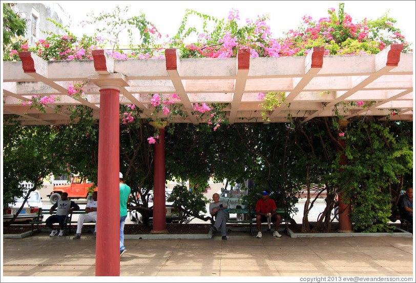 Trellis with flowers, Parque de la Libertad (Liberty Park).