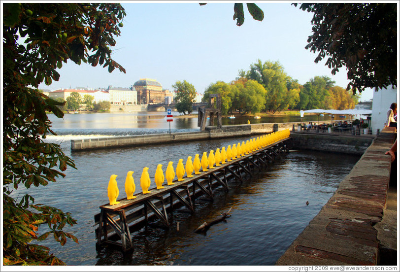 Yellow penguins near Museum Kampa, Kampa, Mal?trana.