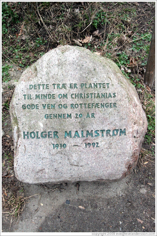 Rock inscribed with "Dette tr?r plantet til minde om Christianias gode ven og rottef?er gennem 20 ? ("This tree planted in memory of Christiania's good friend and pied piper through 20 years").