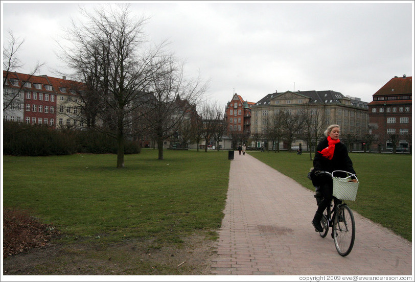 Bicyclist in Kongens Have (King's Gardens).  City centre.