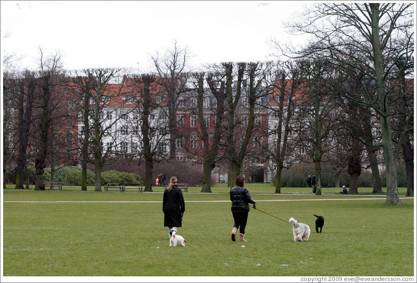 Ladies with dogs.  Kongens Have (King's Gardens).  City centre.