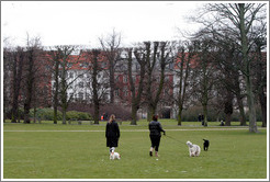 Ladies with dogs.  Kongens Have (King's Gardens).  City centre.