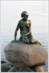 The Little Mermaid.  Copenhagen harbour.