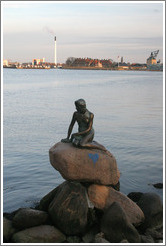 The Little Mermaid.  Copenhagen harbour.