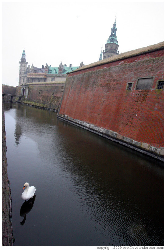 Moat with swan.  Kronborg Castle.  Helsing?r.