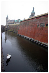 Moat with swan.  Kronborg Castle.  Helsing?r.