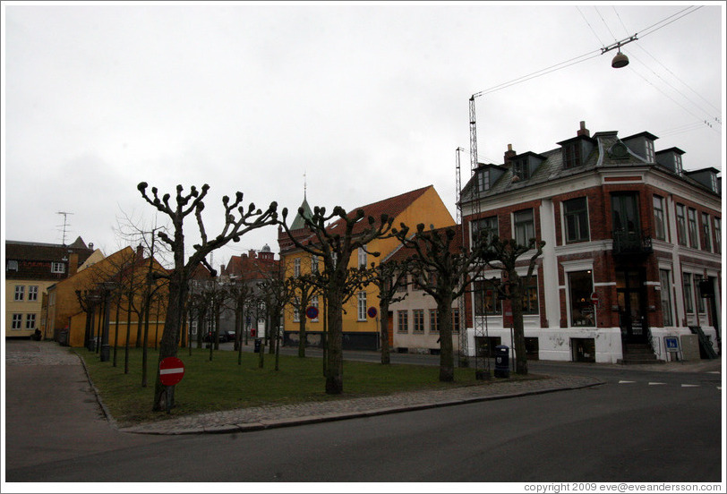 Trees.  Helsing?r.