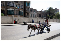 Donkey and cart in the streets of Cairo.