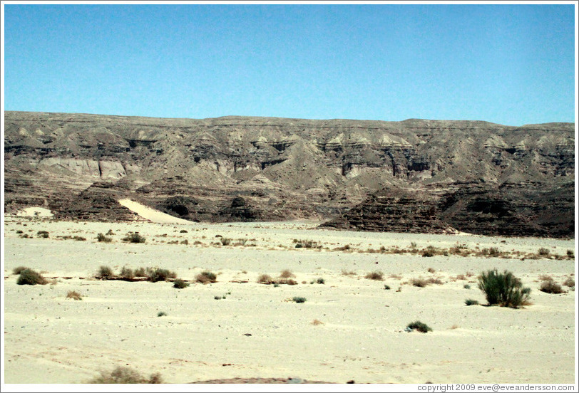 Sinai Desert (grey and beige, with shrubs).