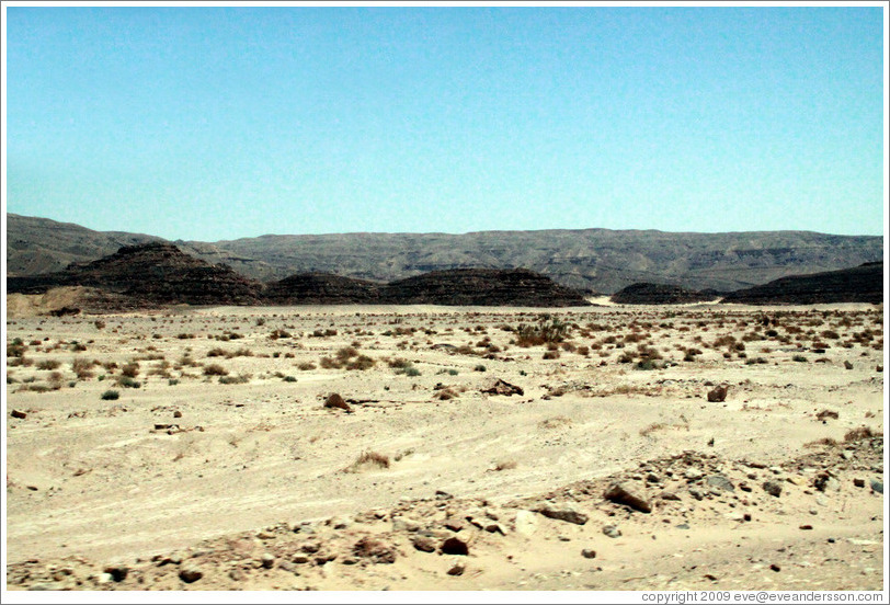 Sinai Desert (grey, black, and beige).