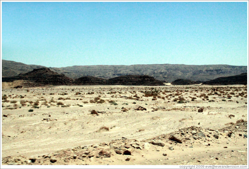 Sinai Desert (grey, black, and beige).