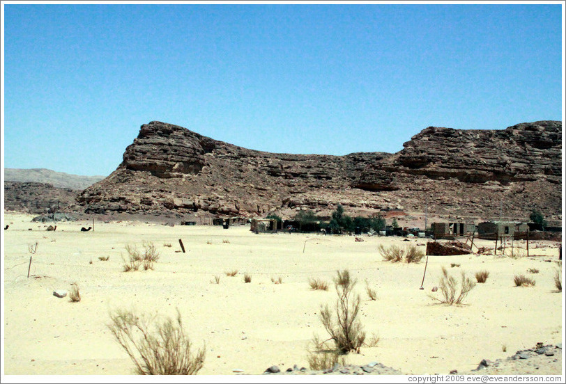 Sinai Desert (beige and grey, with Bedouin dwellings).