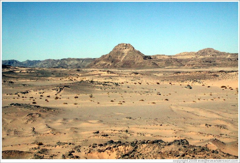 Sinai Desert (pink).