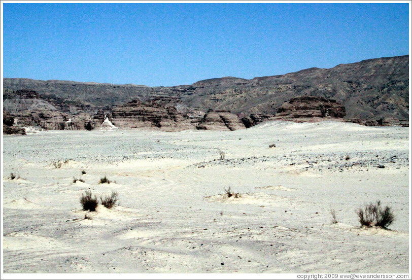 Sinai Desert (beige and grey, with shrubs).