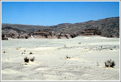 Sinai Desert (beige and grey, with shrubs).