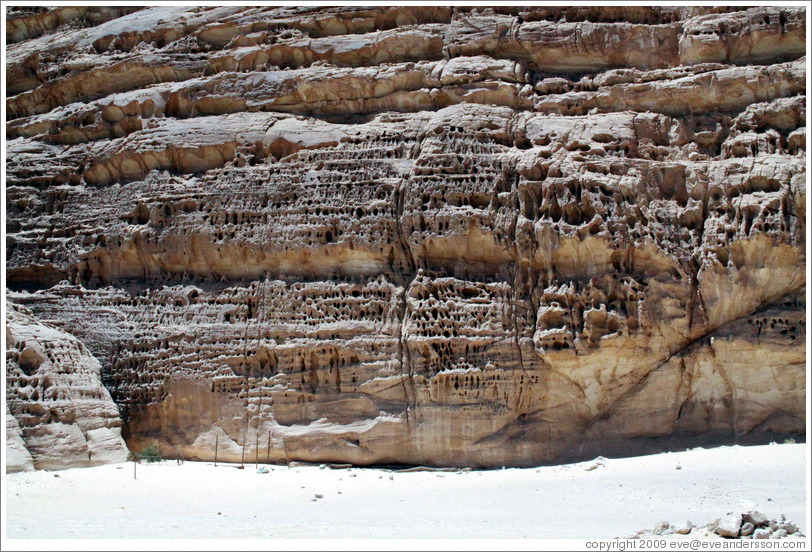 Sinai Desert (eroded rock).