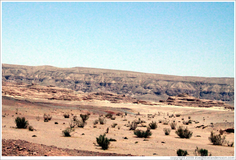 Sinai Desert (pink, with shrubs).