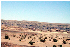 Sinai Desert (pink, with shrubs).