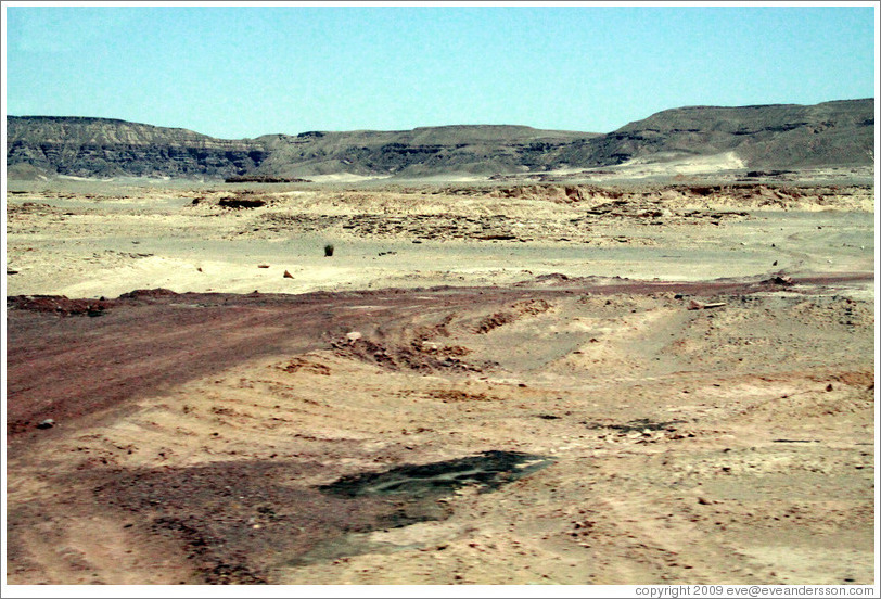 Sinai Desert (beige, brown, and grey).