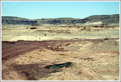 Sinai Desert (beige, brown, and grey).