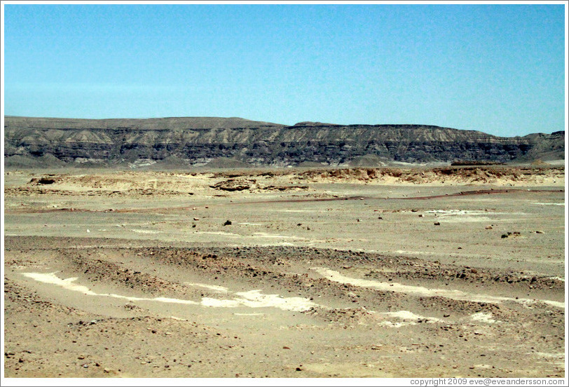 Sinai Desert (beige, brown, and grey).