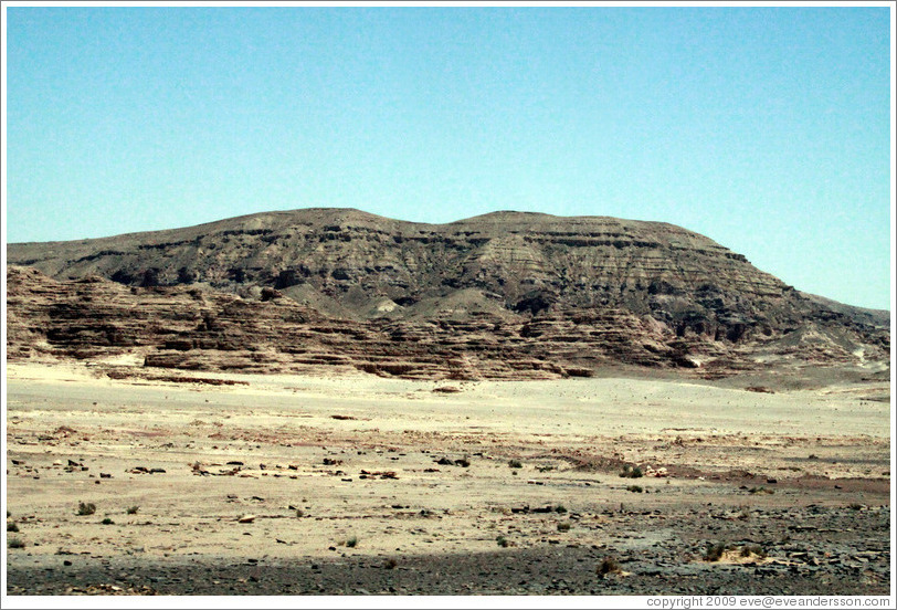 Sinai Desert (beige and grey).
