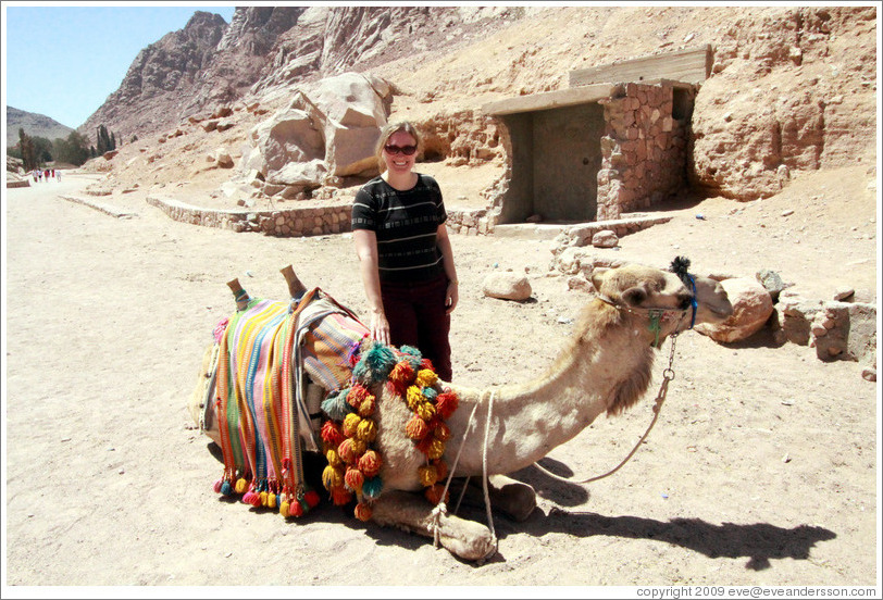 Eve and camel near St. Catherine's Monastery.