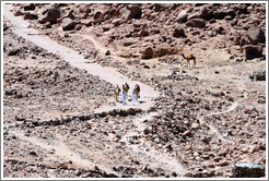 Bedouins with camels near St. Catherine's Monastery.