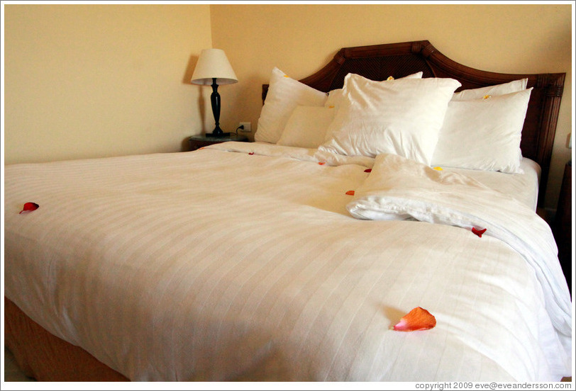 Bed, with flower petals, Marriott Hotel.