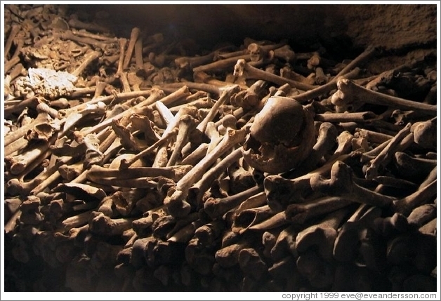 Bones in the catacombs of Paris.