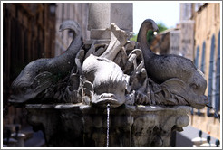 Fontaine des Quatre Dauphins (Fountain of the Four Dolphins). 17th century.  Quartier Mazarin.