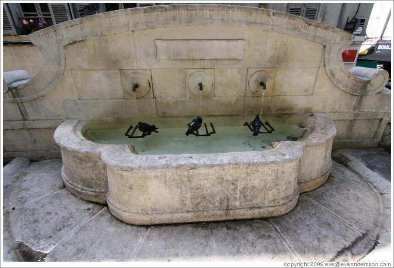 Fountain with three pigeons.  Boulevard Aristide Briand.  Old town.