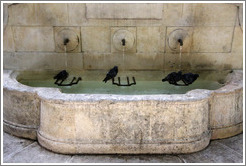 Fountain with four pigeons.  Boulevard Aristide Briand.  Old town.